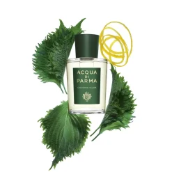 Acqua di Parma Fragranze Maschili^ Colonia Collection Colonia C.L.U.B