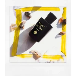Acqua di Parma Fragranze Unisex^ Signatures Of The Sun Ambra