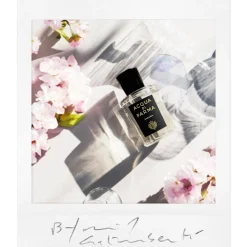 Signatures Of The Sun Sakura><noscript><img width=