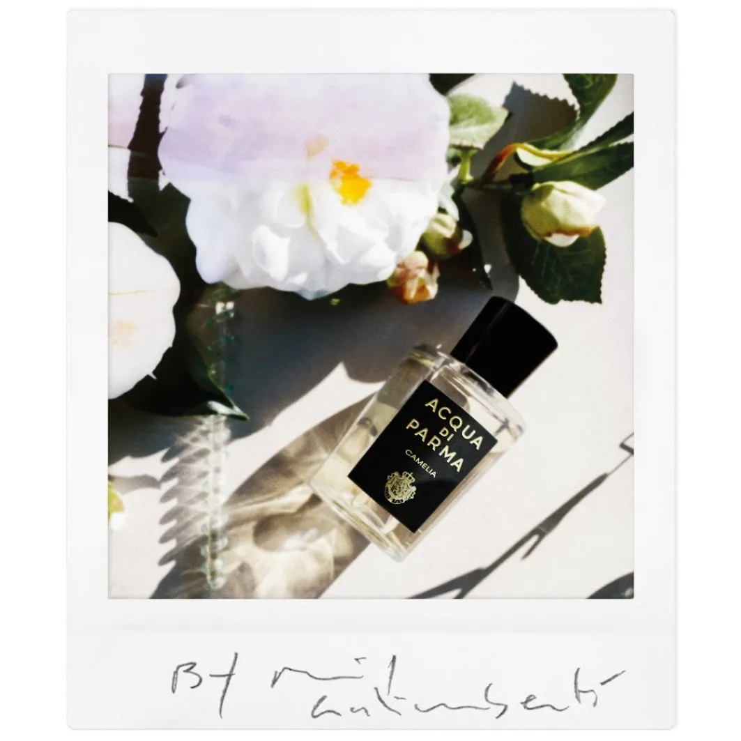 Acqua di Parma Fragranze Unisex^ Signatures Of The Sun Camelia