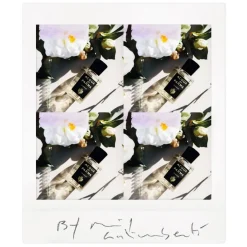 Acqua di Parma Fragranze Unisex^ Signatures Of The Sun Camelia