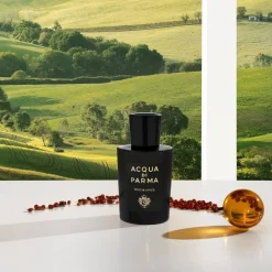 Acqua di Parma Fragranze Unisex^ Signatures Of The Sun Oud & Spice