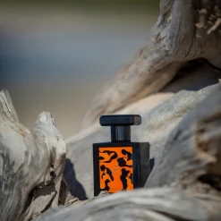 Amarsi Fragrances Fragranze Unisex^ Ibiza Wood