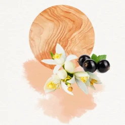 Dojou Dojou For Her Eau De Parfum Spray><noscript><img width=