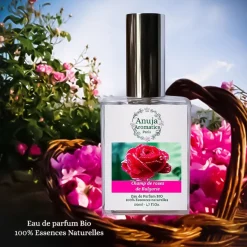 Champ De Roses De Bulgarie><noscript><img width=