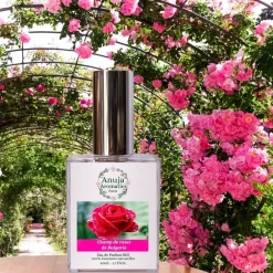 Champ De Roses De Bulgarie><noscript><img width=