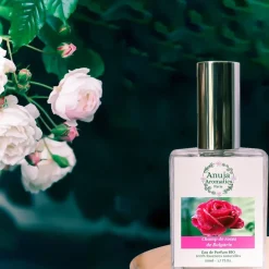 Champ De Roses De Bulgarie><noscript><img width=