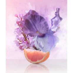 Omnia Amethyste><noscript><img width=