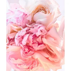 Rose Goldea Rose Goldea Blossom Delight Eau De Toilette Spray><noscript><img width=