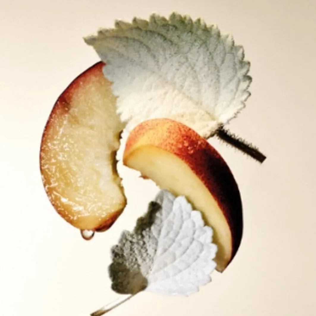 Splendida Bvlgari Splendida Patchouli>Bulgari Online