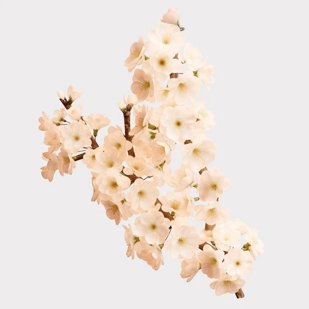 Her Her Blossom>Burberry Cheap
