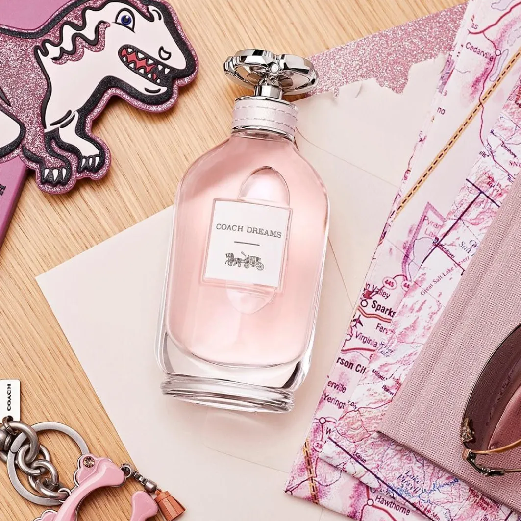 Dreams Dreams>Coach Store