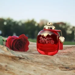Coach Fragranze Unisex^ Love Love