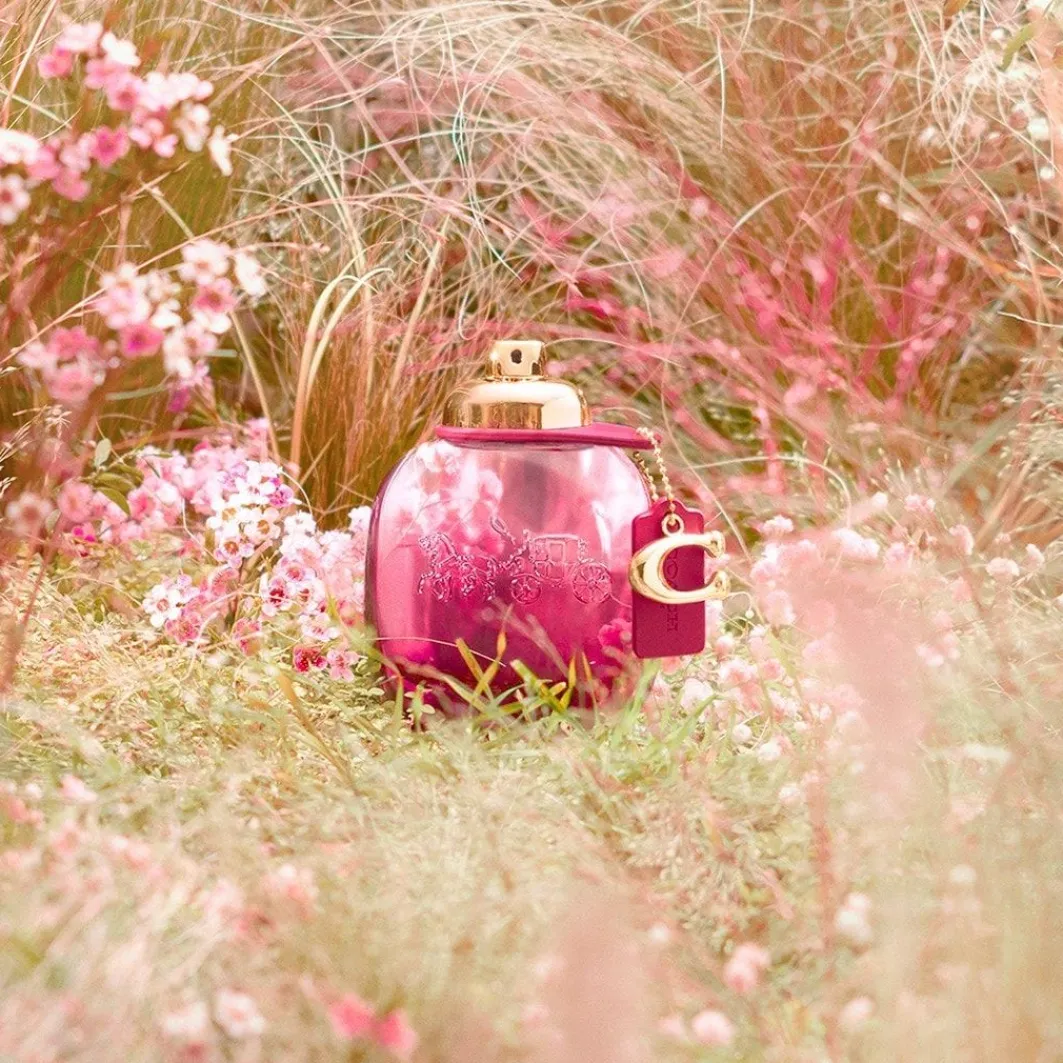 Wild Rose Eau De Parfum>Coach Cheap