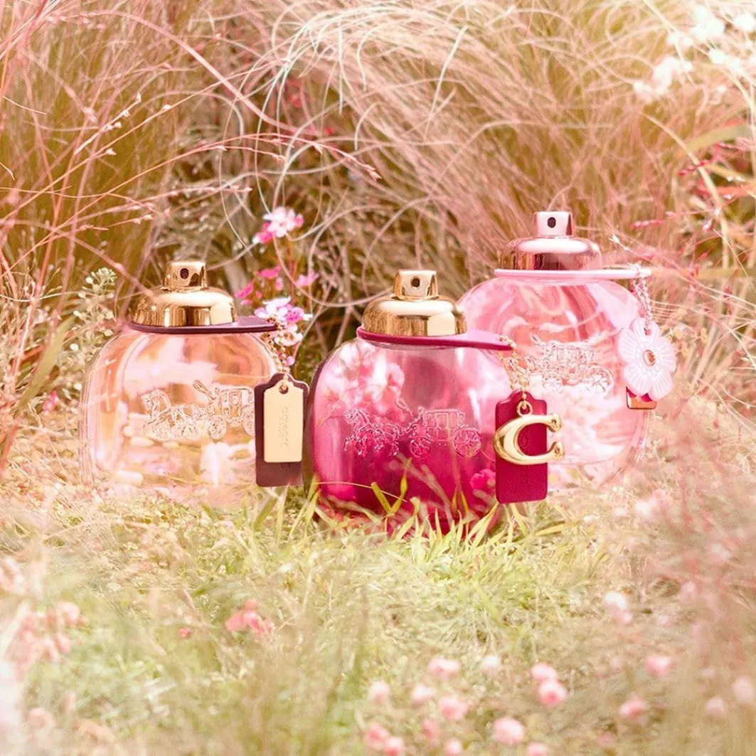 Wild Rose Eau De Parfum>Coach Cheap