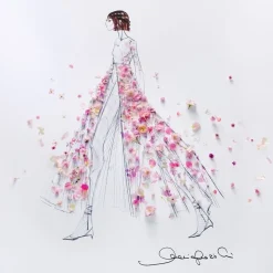 Miss Miss Absolutely Blooming><noscript><img width=