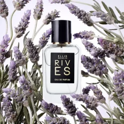 Rives Rives><noscript><img width=