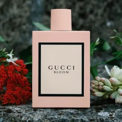 Bloom Bloom><noscript><img width=