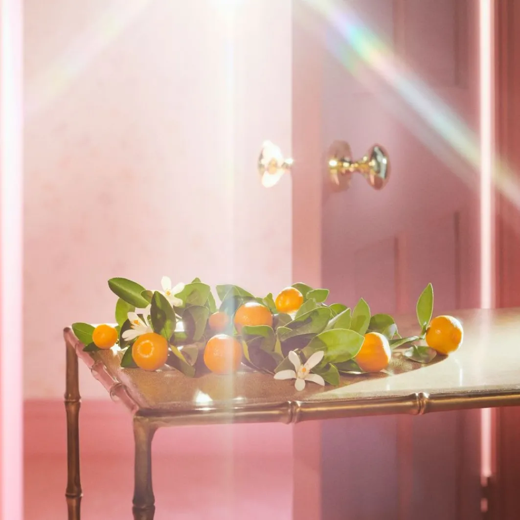 Flora Gorgeous Jasmine>Gucci Clearance