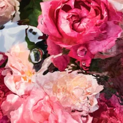 Aqua Allegoria Rosa Rossa><noscript><img width=