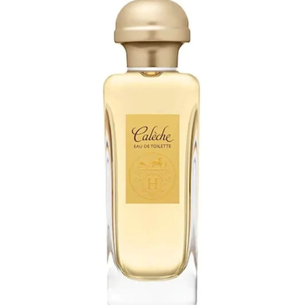 Hermes Caleche Caleche>HERMÈS New