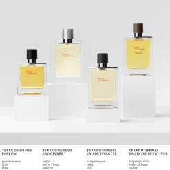 HERMÈS Fragranze Maschili^Hermes Terre D'Hermes Terre D'Hermes Eau Givree