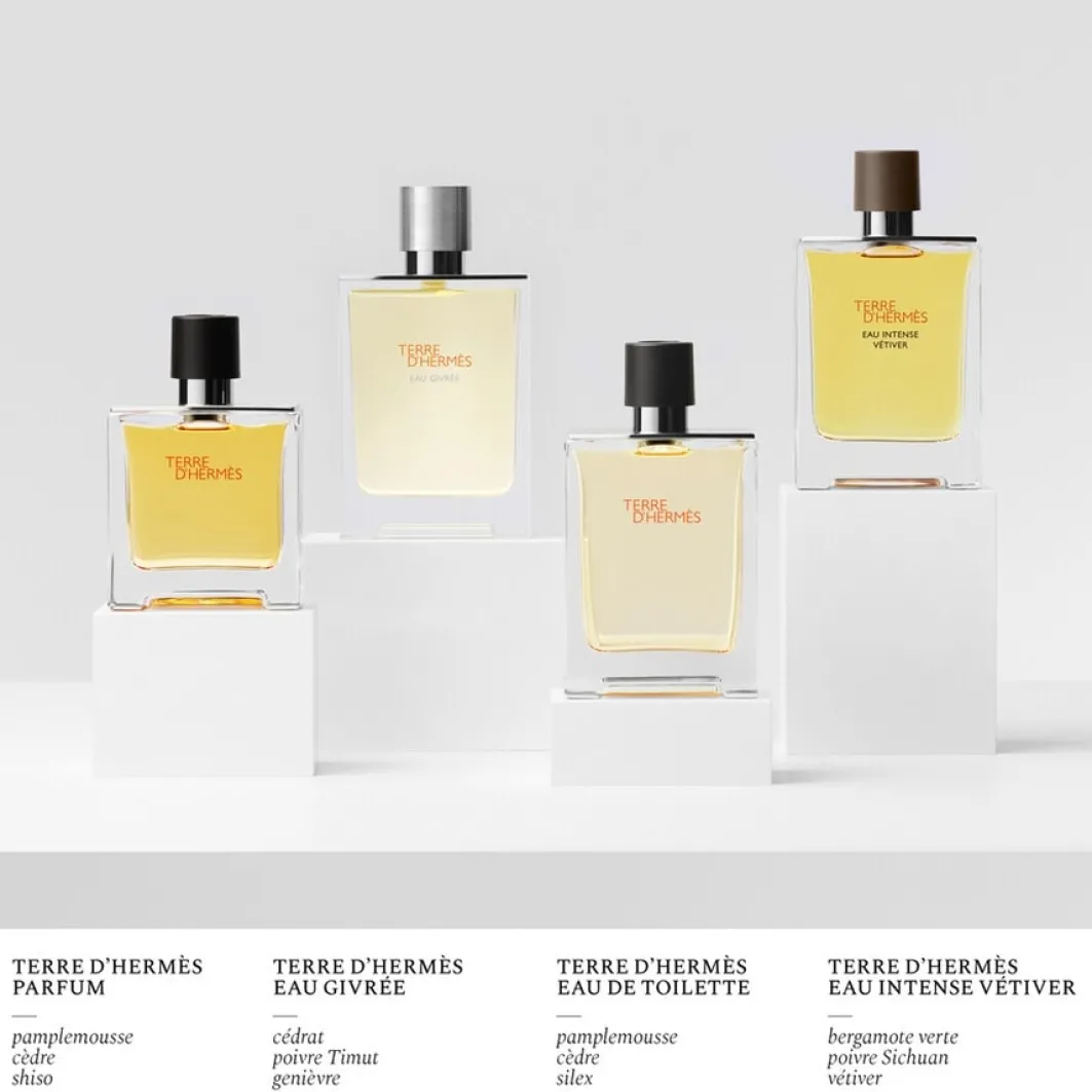 HERMÈS Fragranze Maschili^Hermes Terre D'Hermes Terre D'Hermes Eau Givree