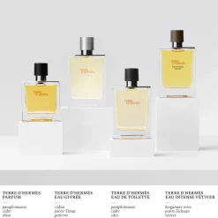 HERMÈS Fragranze Maschili^Hermes Terre D'Hermes Terre D'Hermes Eau Givree, Ricarica