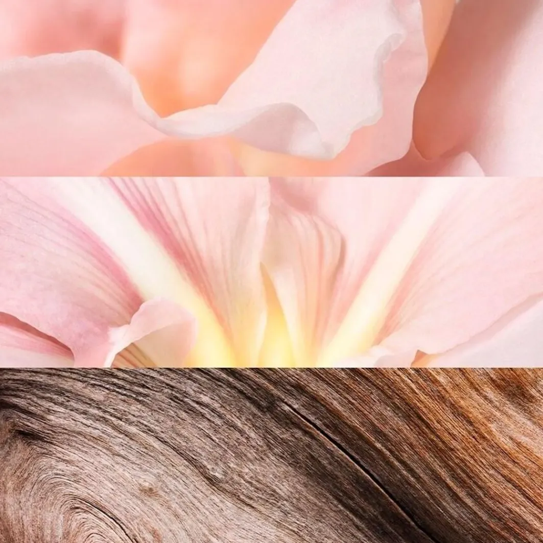 >Jil Sander Shop