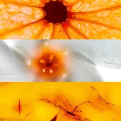 Sun Sun Roll On Antitraspirante 50Ml><noscript><img width=