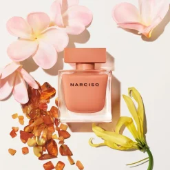 Narciso Narciso Ambree><noscript><img width=
