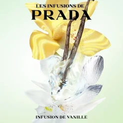 Les Infusion De Vanille><noscript><img width=