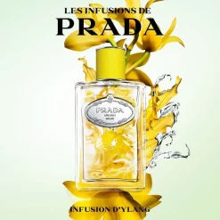 Les Infusion D'Ylang><noscript><img width=