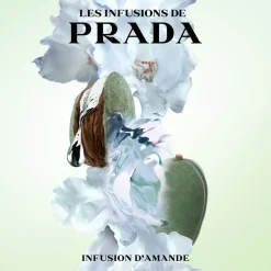 Les Infusion Infusion Amande><noscript><img width=