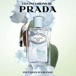 Les Infusion Infusion Amande><noscript><img width=