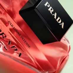 Paradoxe Intense><noscript><img width=