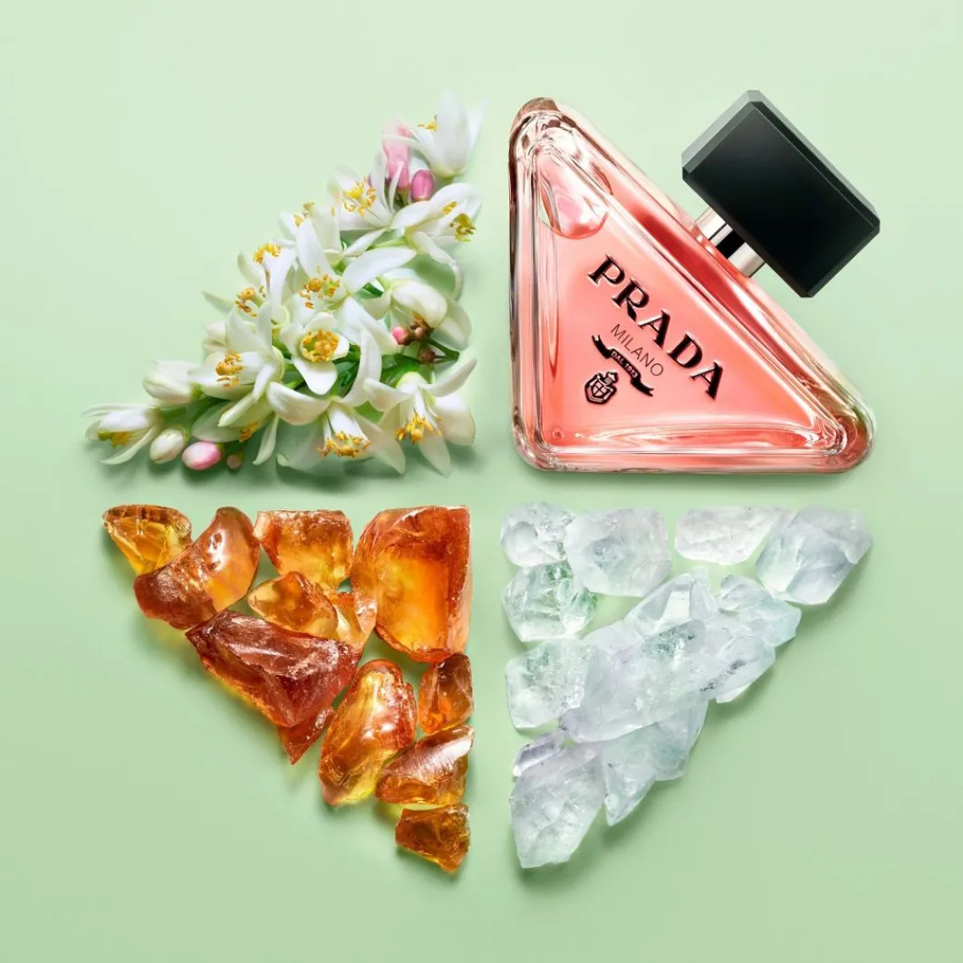Paradoxe Paradoxe>Prada Discount