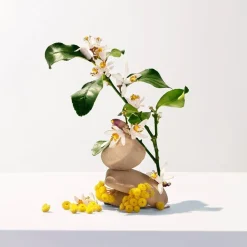 Neroli - Acqua Profumata Di Benessere><noscript><img width=
