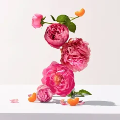 Rose Rose - Acqua Profumata Di Benessere><noscript><img width=