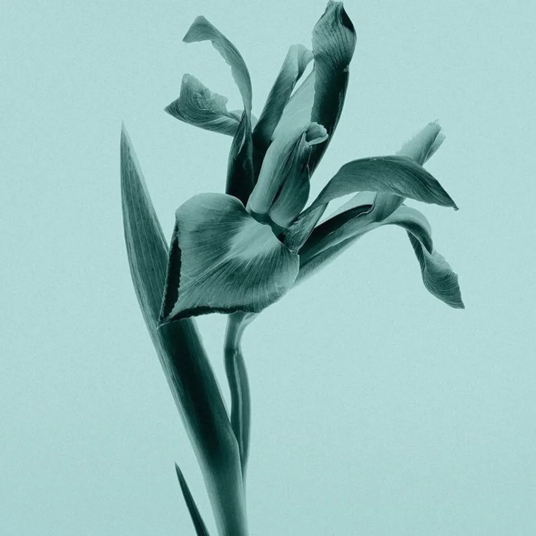 Tiffany Shower Gel>Tiffany & Co. New