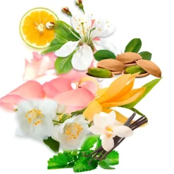 Pure Jasmine><noscript><img width=