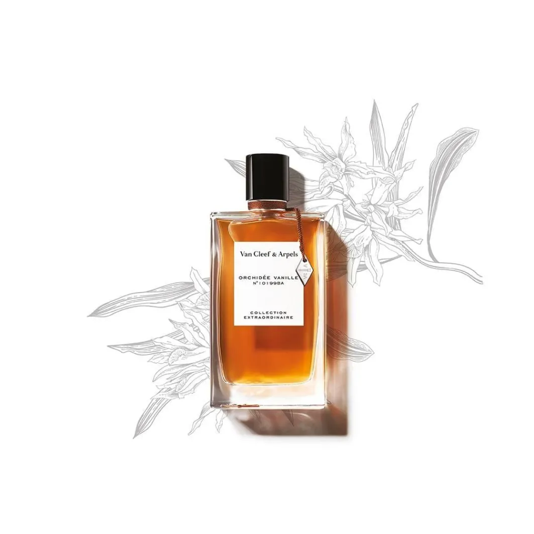 Collection Extraordinaire Collection Extraordinaire Orchidee Vanille>Van Cleef & Arpels Hot