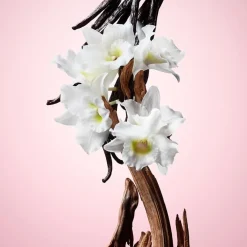 Flowerbomb Flowerbomb>Viktor & Rolf Cheap