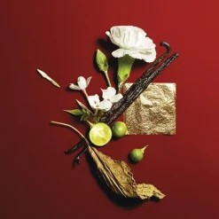 Opium Opium><noscript><img width=